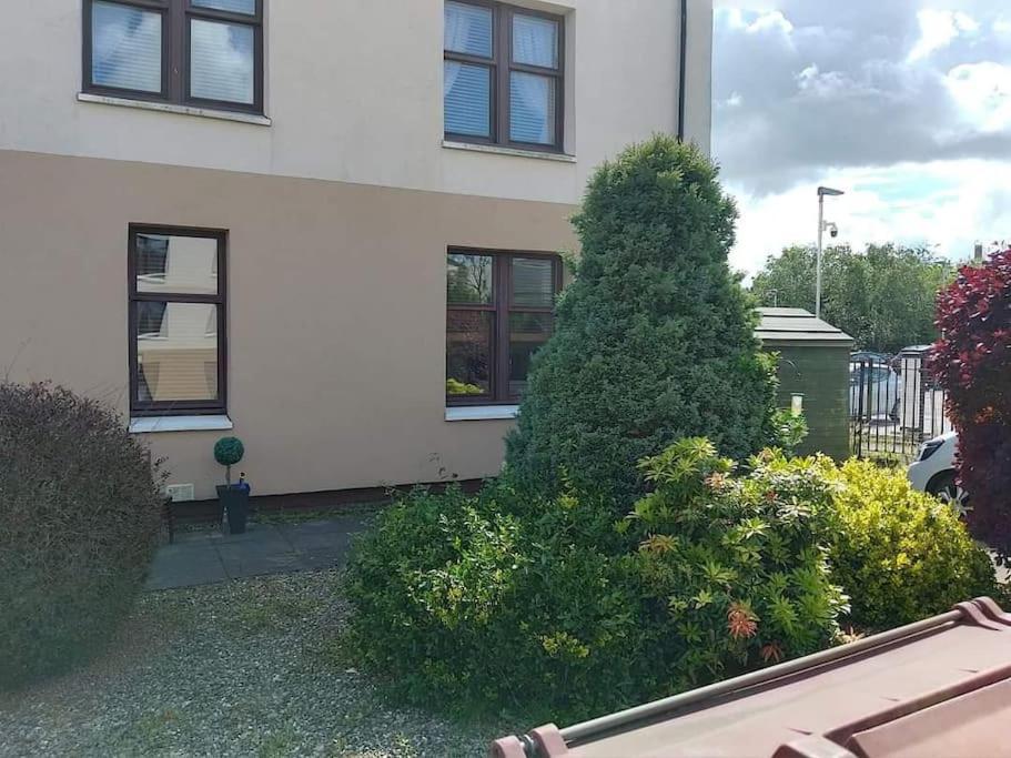 Lovely 2 Bedroom Apartment In Heart Of Dundee Buitenkant foto